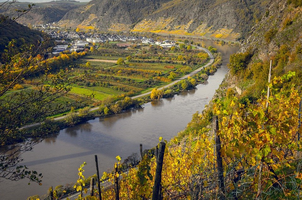 cave du Beaujolais