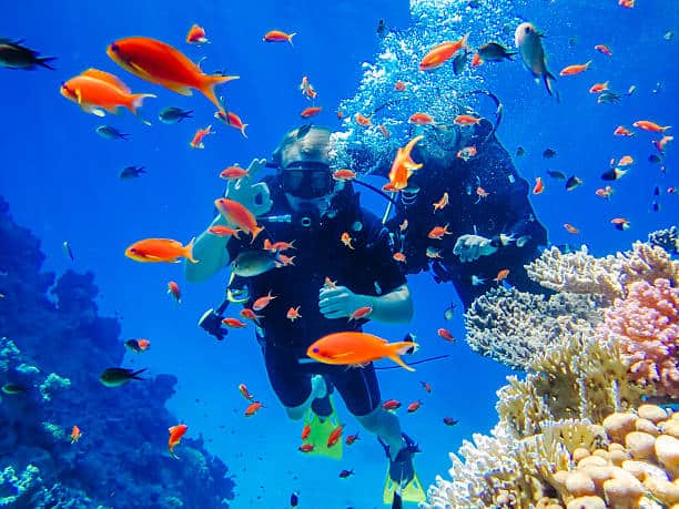 Où faire sa première plongée sous-marine