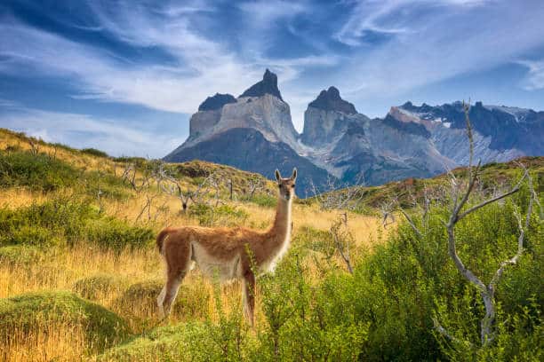 pays à visiter cet été