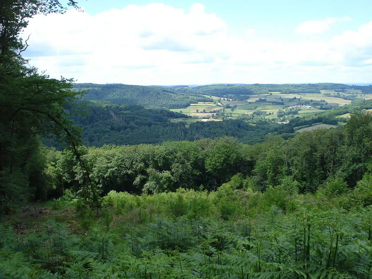 Parc naturel du Morvan