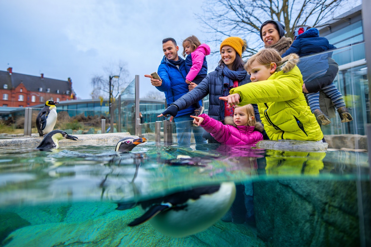 activités à faire avec les enfants à Lille