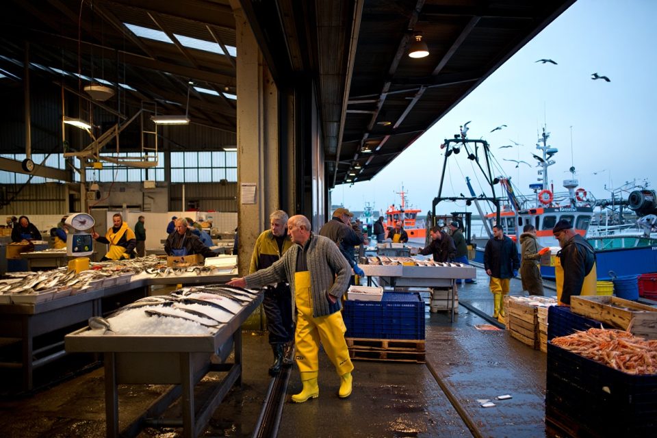 criées à visiter en France